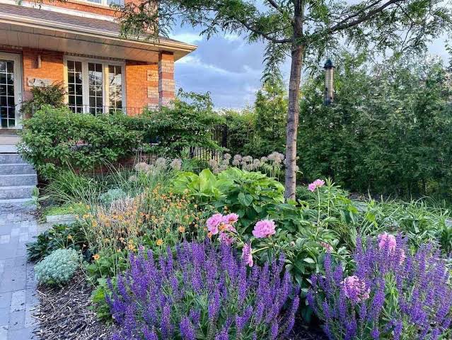 ออกแบบและจัดสวน