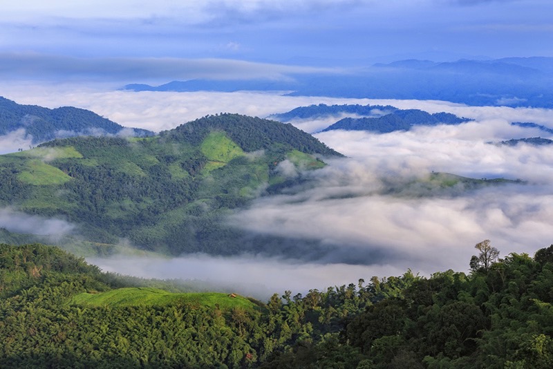 กาแฟพืชเศรษฐกิจที่สำคัญของภาคเหนือ