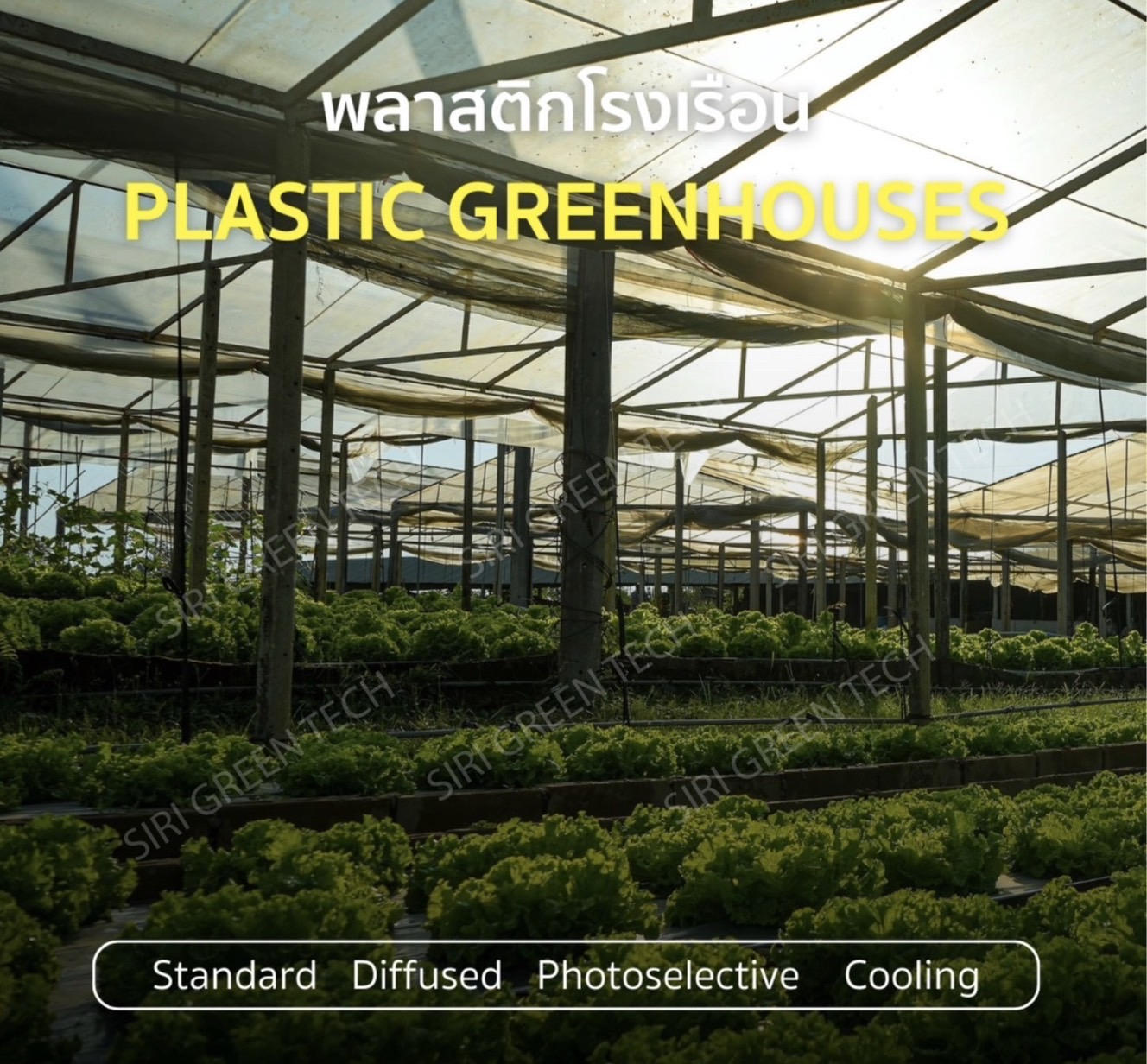 plastic greenhouses