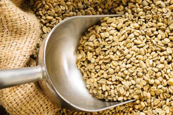 สารกาแฟ : ดอยอินทนนท์ | Washed process (วอช A)