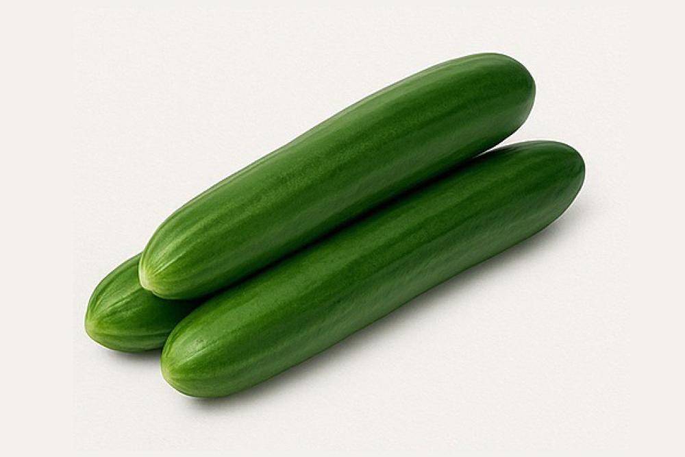 JAPANESE CUCUMBER : บริษัท สิริ กรีน เทคโนโลยี จำกัด